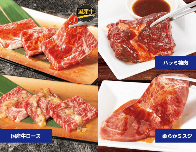 国産牛ロース ハラミ塊肉 柔らかミスジ